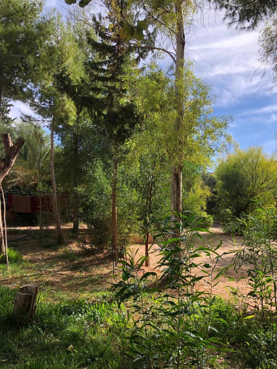 Hotel Camping Le Soleil Tinghir Extérieur photo
